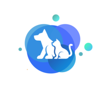 vethub.com.co